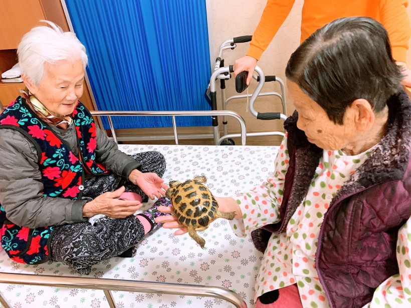 60d8415d75279642756966e62450b7a7_1580707